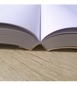 Abschlussarbeiten im Softcover - Klebebindung DIN A5