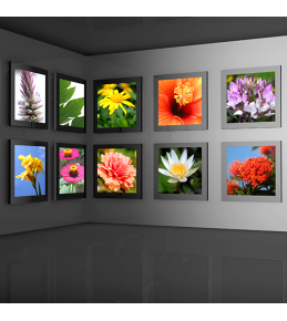 Foto´s auf Backlit-Folie